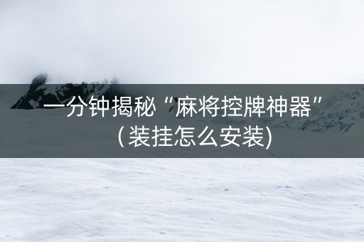 一分钟揭秘“麻将控牌神器”（装挂怎么安装)