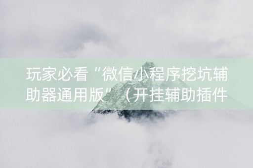 玩家必看“微信小程序挖坑辅助器通用版”（开挂辅助插件)