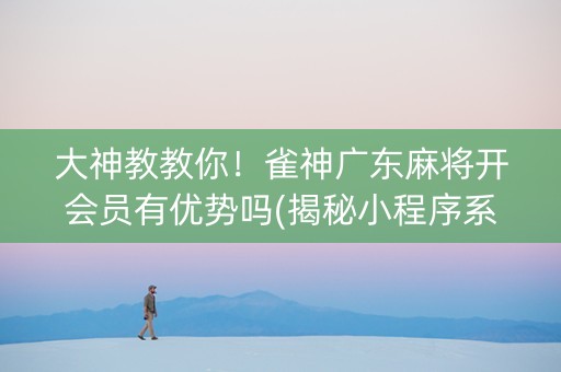 大神教教你！雀神广东麻将开会员有优势吗(揭秘小程序系统发好牌)