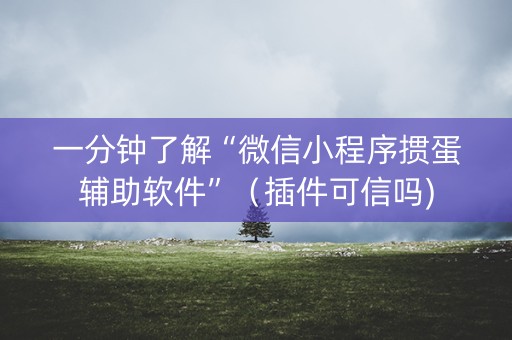 一分钟了解“微信小程序掼蛋辅助软件”（插件可信吗)