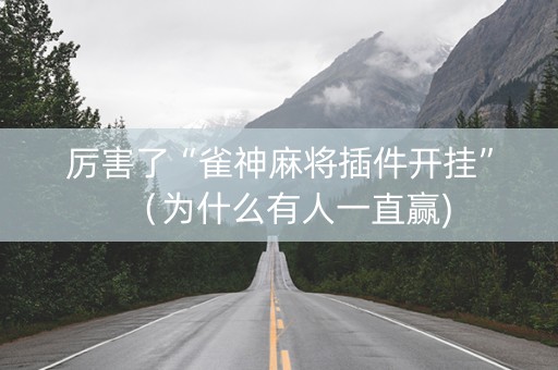 厉害了“雀神麻将插件开挂”（为什么有人一直赢)