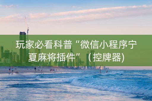 玩家必看科普“微信小程序宁夏麻将插件”（控牌器)