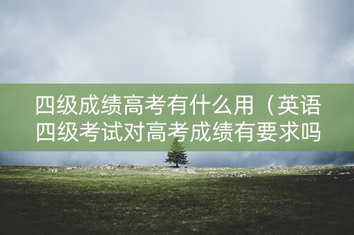 四级成绩高考有什么用（英语四级考试对高考成绩有要求吗）