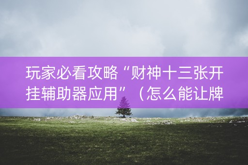 玩家必看攻略“财神十三张开挂辅助器应用”（怎么能让牌好一点)