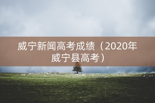 威宁新闻高考成绩（2020年威宁县高考）