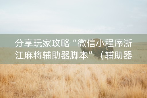 分享玩家攻略“微信小程序浙江麻将辅助器脚本”（辅助器通用版)