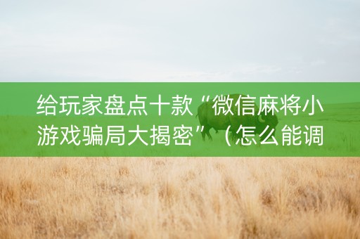 给玩家盘点十款“微信麻将小游戏骗局大揭密”（怎么能调好牌)