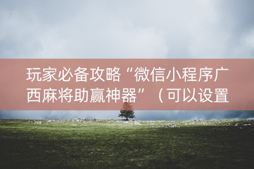 玩家必备攻略“微信小程序广西麻将助赢神器”（可以设置输赢吗)