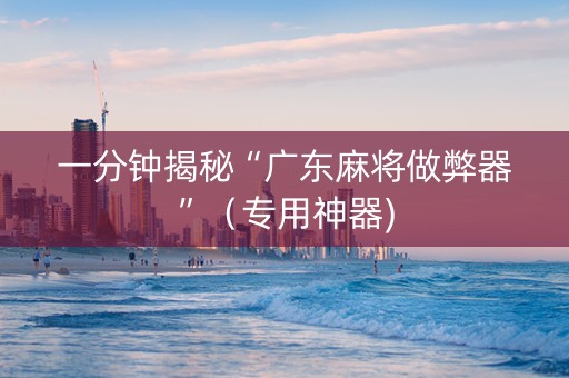 一分钟揭秘“广东麻将做弊器”（专用神器)