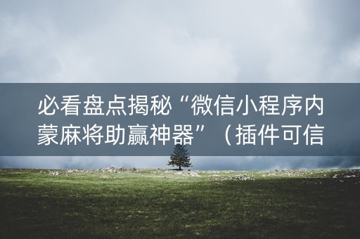 必看盘点揭秘“微信小程序内蒙麻将助赢神器”（插件可信吗)