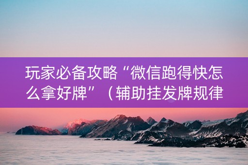 玩家必备攻略“微信跑得快怎么拿好牌”（辅助挂发牌规律)