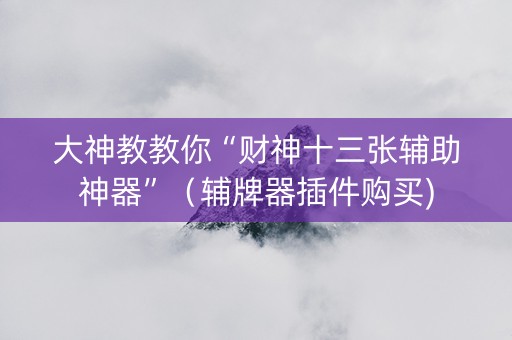 大神教教你“财神十三张辅助神器”（辅牌器插件购买)
