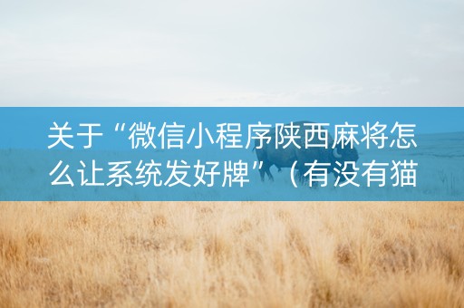 关于“微信小程序陕西麻将怎么让系统发好牌”（有没有猫腻)