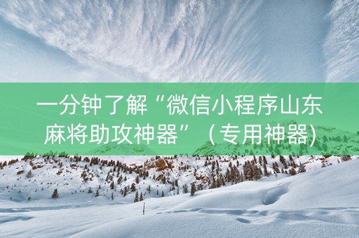 一分钟了解“微信小程序山东麻将助攻神器”（专用神器)