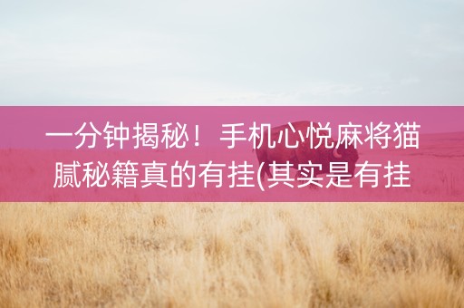 一分钟揭秘！手机心悦麻将猫腻秘籍真的有挂(其实是有挂的)