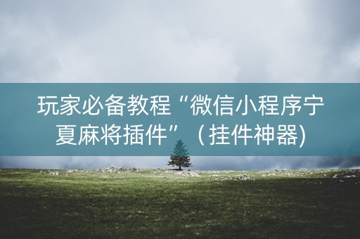 玩家必备教程“微信小程序宁夏麻将插件”（挂件神器)