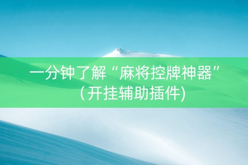 一分钟了解“麻将控牌神器”（开挂辅助插件)