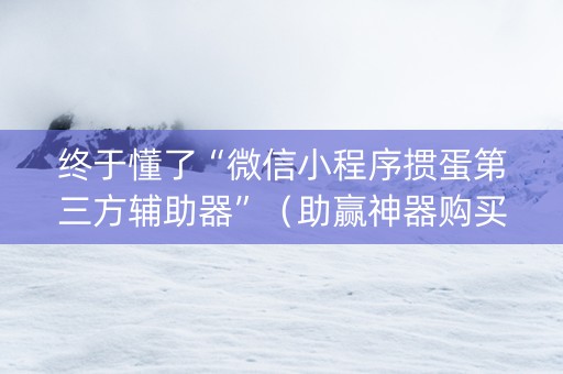 终于懂了“微信小程序掼蛋第三方辅助器”（助赢神器购买)