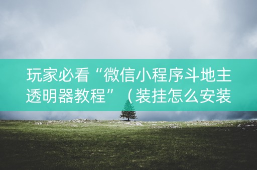 玩家必看“微信小程序斗地主透明器教程”（装挂怎么安装)