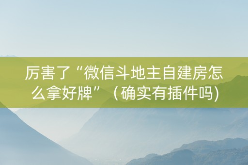 厉害了“微信斗地主自建房怎么拿好牌”（确实有插件吗)