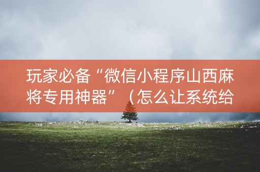 玩家必备“微信小程序山西麻将专用神器”（怎么让系统给你发好牌)
