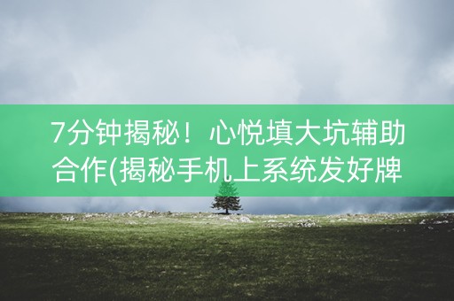 7分钟揭秘！心悦填大坑辅助合作(揭秘手机上系统发好牌)