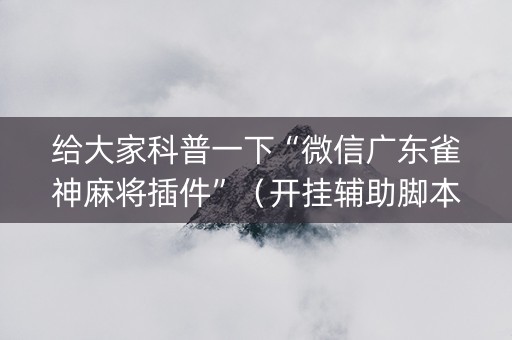 给大家科普一下“微信广东雀神麻将插件”（开挂辅助脚本)