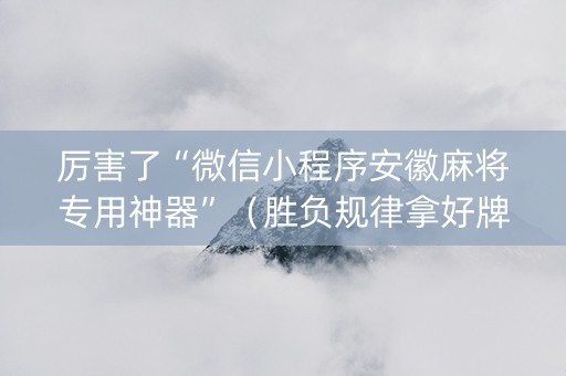 厉害了“微信小程序安徽麻将专用神器”（胜负规律拿好牌)
