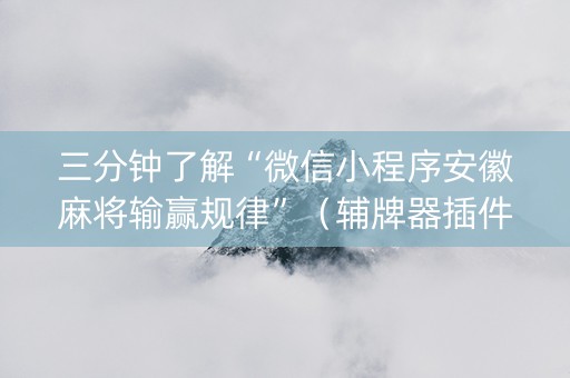 三分钟了解“微信小程序安徽麻将输赢规律”（辅牌器插件购买)