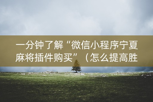 一分钟了解“微信小程序宁夏麻将插件购买”（怎么提高胜率)