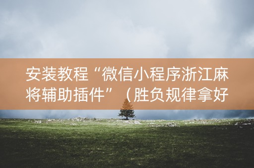 安装教程“微信小程序浙江麻将辅助插件”（胜负规律拿好牌)