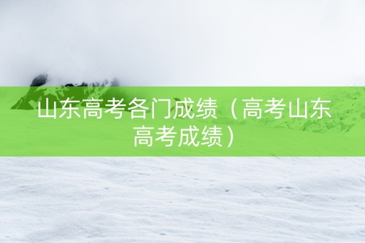 山东高考各门成绩（高考山东高考成绩）