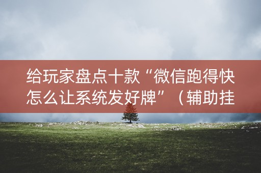 给玩家盘点十款“微信跑得快怎么让系统发好牌”（辅助挂发牌规律)