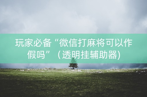 玩家必备“微信打麻将可以作假吗”（透明挂辅助器)