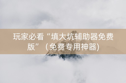 玩家必看“填大坑辅助器免费版”（免费专用神器)