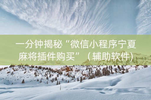 一分钟揭秘“微信小程序宁夏麻将插件购买”（辅助软件)