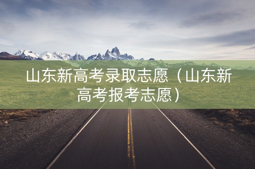 山东新高考录取志愿（山东新高考报考志愿）