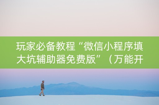 玩家必备教程“微信小程序填大坑辅助器免费版”（万能开挂神器)