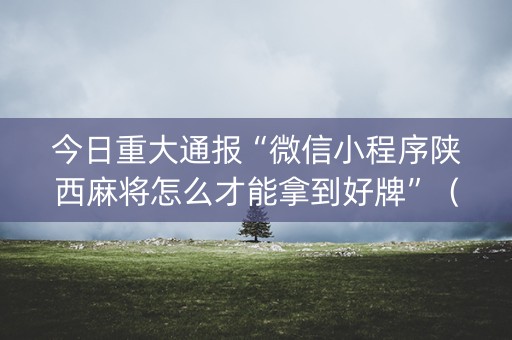 今日重大通报“微信小程序陕西麻将怎么才能拿到好牌”（万能开挂神器)