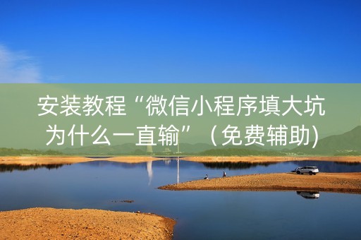 安装教程“微信小程序填大坑为什么一直输”（免费辅助)