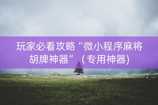 玩家必看攻略“微小程序麻将胡牌神器”（专用神器)