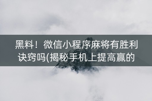 黑料！微信小程序麻将有胜利诀窍吗(揭秘手机上提高赢的概率)