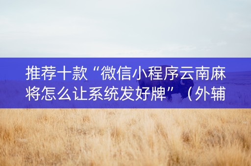 推荐十款“微信小程序云南麻将怎么让系统发好牌”（外辅工具)