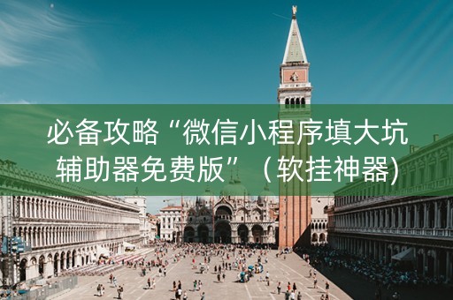 必备攻略“微信小程序填大坑辅助器免费版”（软挂神器)