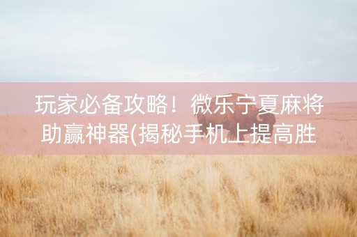 玩家必备攻略！微乐宁夏麻将助赢神器(揭秘手机上提高胜率)
