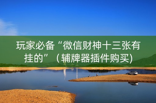 玩家必备“微信财神十三张有挂的”（辅牌器插件购买)
