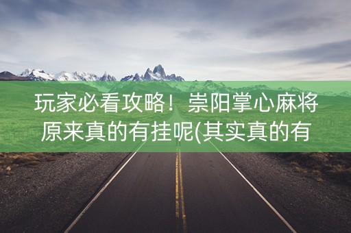 玩家必看攻略！崇阳掌心麻将原来真的有挂呢(其实真的有挂)