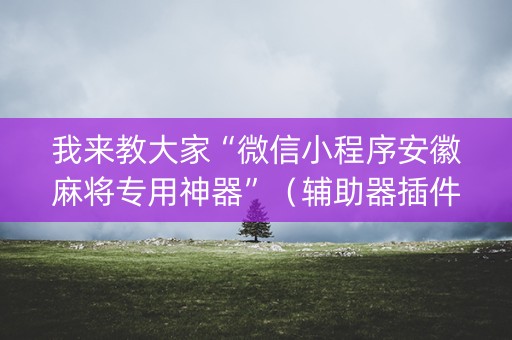 我来教大家“微信小程序安徽麻将专用神器”（辅助器插件)