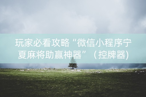 玩家必看攻略“微信小程序宁夏麻将助赢神器”（控牌器)