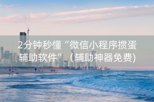 2分钟秒懂“微信小程序掼蛋辅助软件”（辅助神器免费)